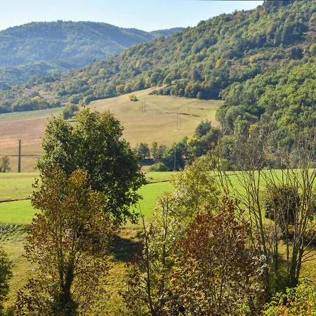 In The Forest * Villeneuve-d'Allier