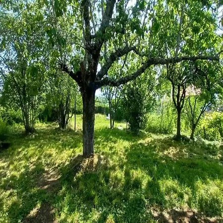 Semesterbostad Retreat In Villeneuve-dʼAllier