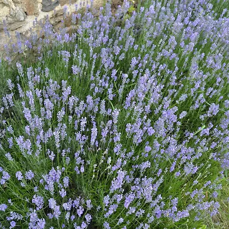 Retreat In Semesterbostad